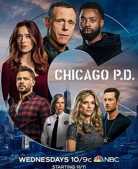 芝加哥警署第八季全集