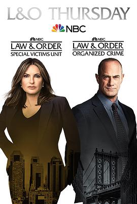 法律与秩序：组织犯罪第二季第14集