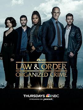 法律与秩序：组织犯罪第三季全集